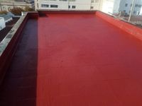 d7c5cc99-7a7a-4bf9-a705-ae2f94c5123d